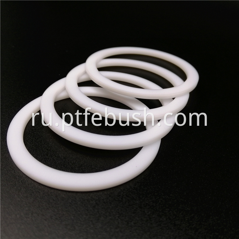 Oil Seal